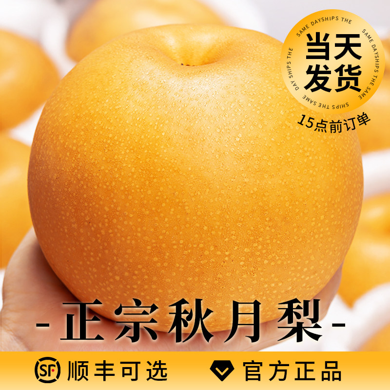 秋月梨官方正品|当天发货