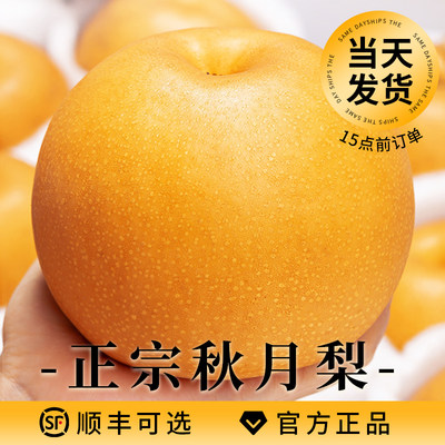 秋月梨官方正品|当天发货