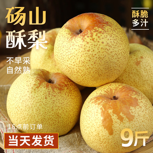 正宗砀山青梨砀山直采当天速发