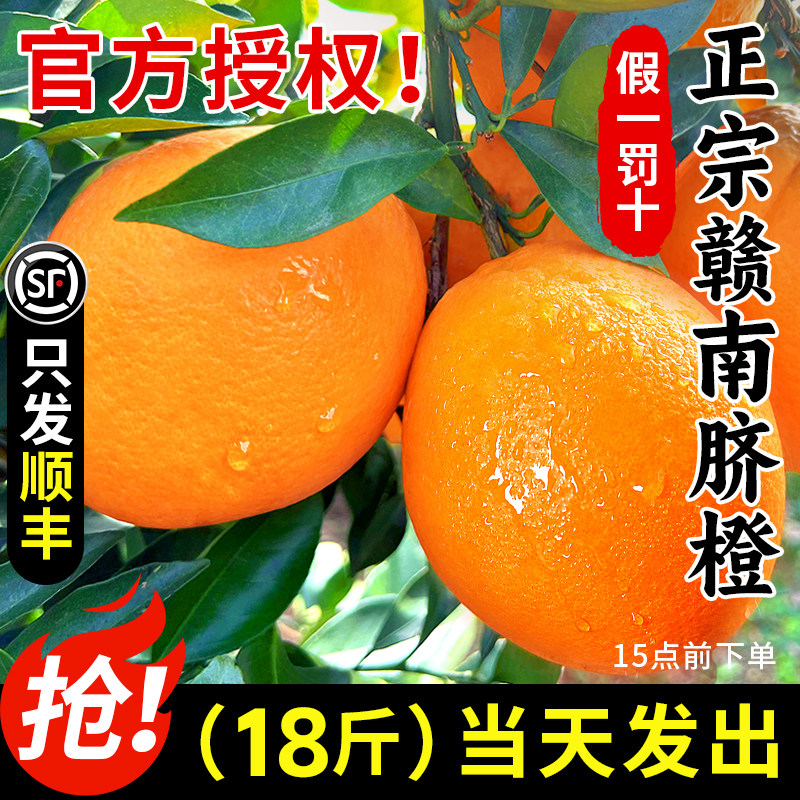 顺丰江西赣南脐橙新鲜水果应当季整箱赣州官方直发正宗源产地橙子,水产肉类/新鲜蔬果/熟食,橙,淘宝优惠券,粉丝福利购,淘宝优惠卷