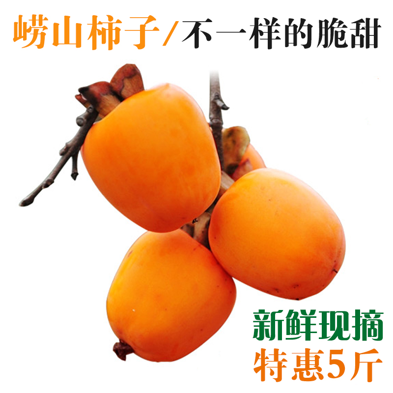 现摘正宗青岛牛心柿子脆甜多汁