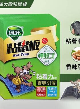 绿叶粘鼠板花生香味引诱老鼠