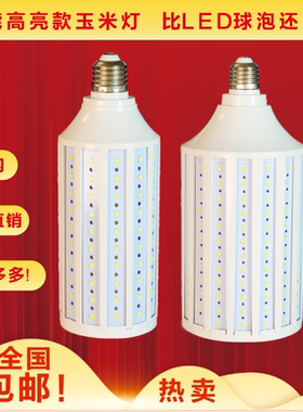 交流AC12v～82V LED玉米灯夜市电瓶灯太阳能路灯船上灯低压专用