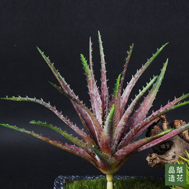 仿真多肉植物绿植芦荟室内客厅