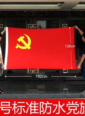 党旗国旗2号3号4号5号小党旗串旗吊旗五星红旗旗子挂旗彩旗卖场