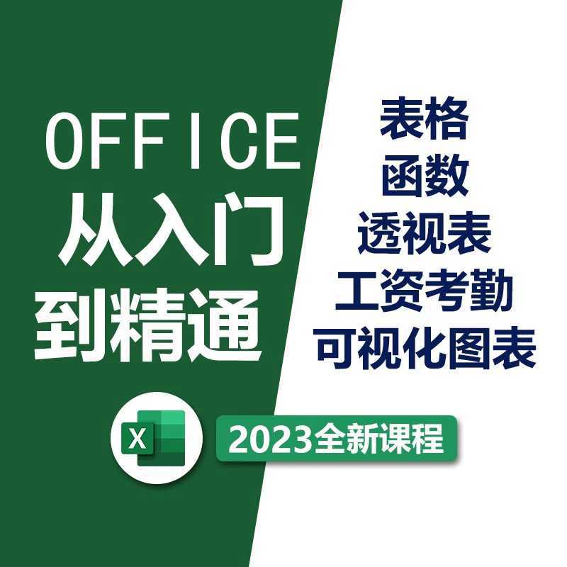 excel数据分析课程office/ppt/wps/word家长会工资表大神插入对象