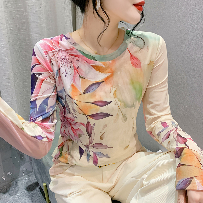 肌肤网纱长袖打底衫女印花高级感t恤春装新款洋气显瘦欧货上衣潮