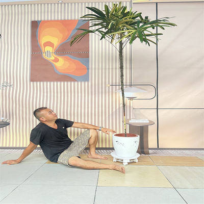 锦叶棕竹非常好养美观特色