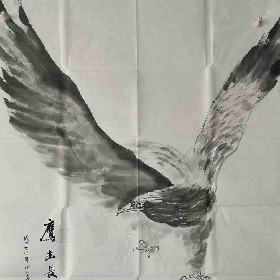 热卖一枫斋纯手绘国画精品四尺横幅花鸟画自创画鹰击长空惊爆爆款