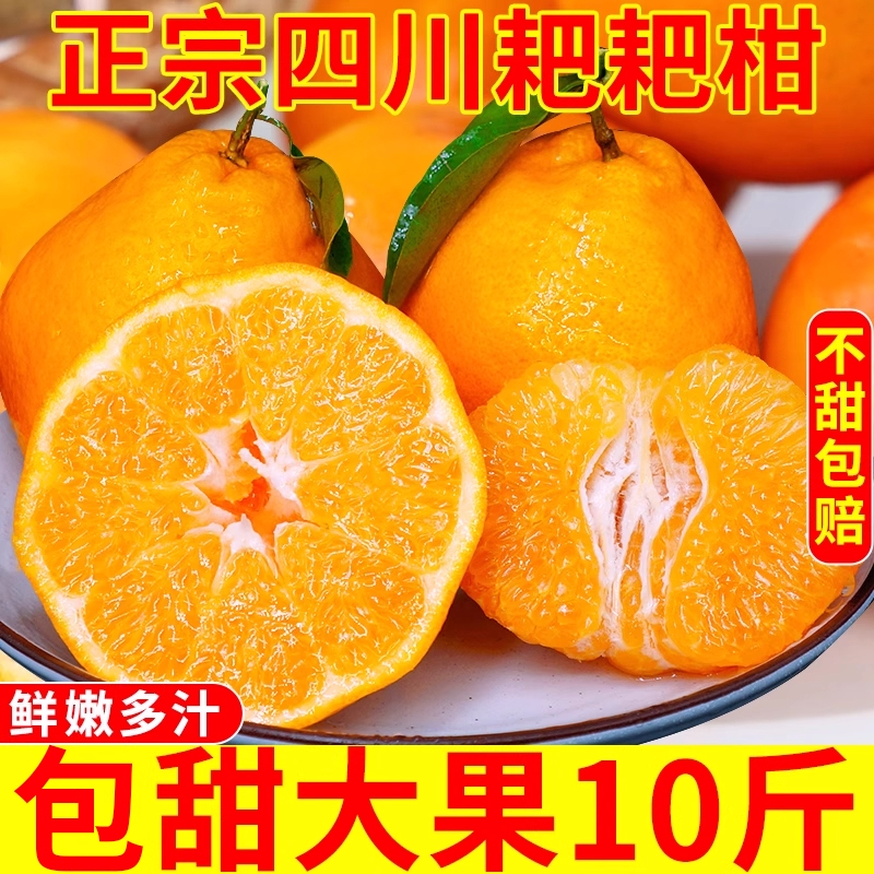 【又大又甜】四川春见耙耙柑新鲜应季水果粑粑柑橘整箱包邮批发价