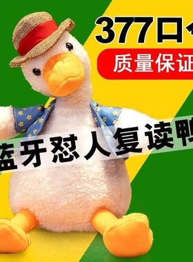 网红学说话小黄鸭子仙人