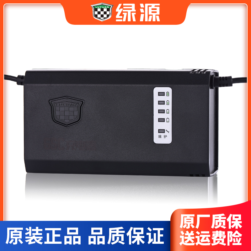 绿源电动车电瓶充电器48V60V72V12AH20AH专用原装原厂6SC两孔正品