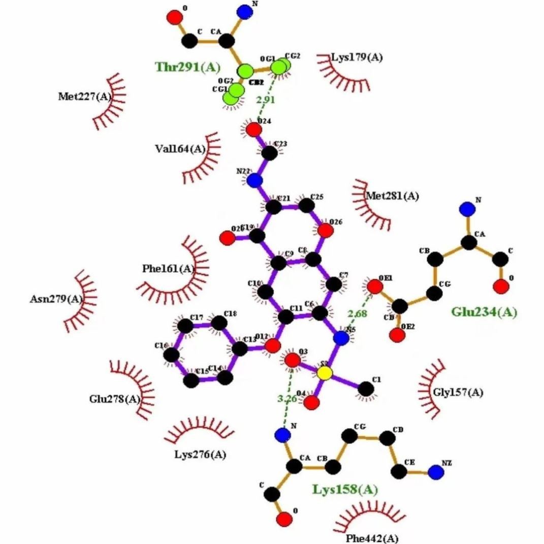 分子对接互作分析富集分析动力学模拟电解液药物蛋白质预实验设计