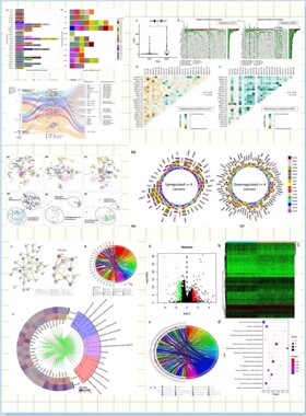 生信分析 医学影像组学  PET-CT/CT/ECT  转录组 网络药理学