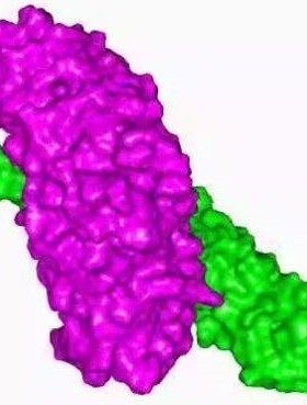 modeller 蛋白 同源建模 服务费
