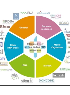 python问题解决bug修复远程代码调试django/flask/数据分析代编程