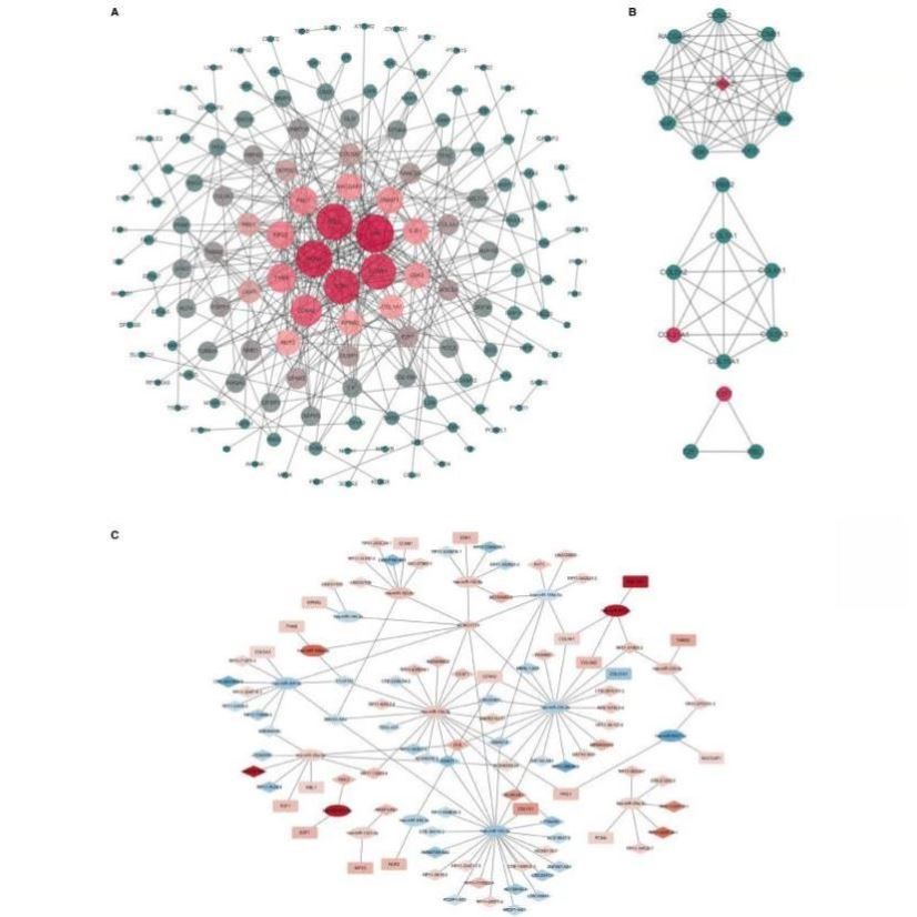 中医网络药理学 中药复方 分子对接代做 TCMSP GO/KEGG cytoscape