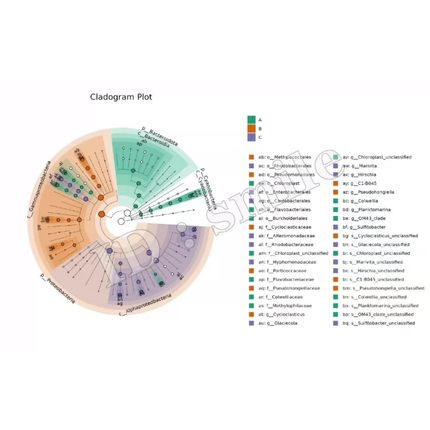 python文本分析主题分析LDA主题模型bertopic主题演化主题聚类
