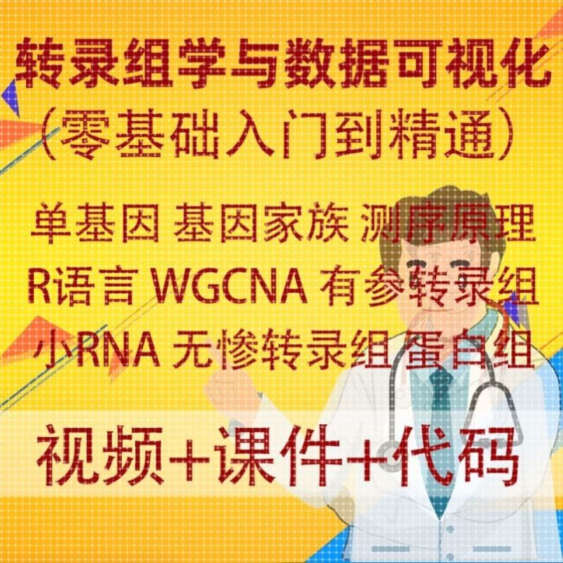 转录组学与数据可视化医学科研基因生物信息学生信分析R语言绘图
