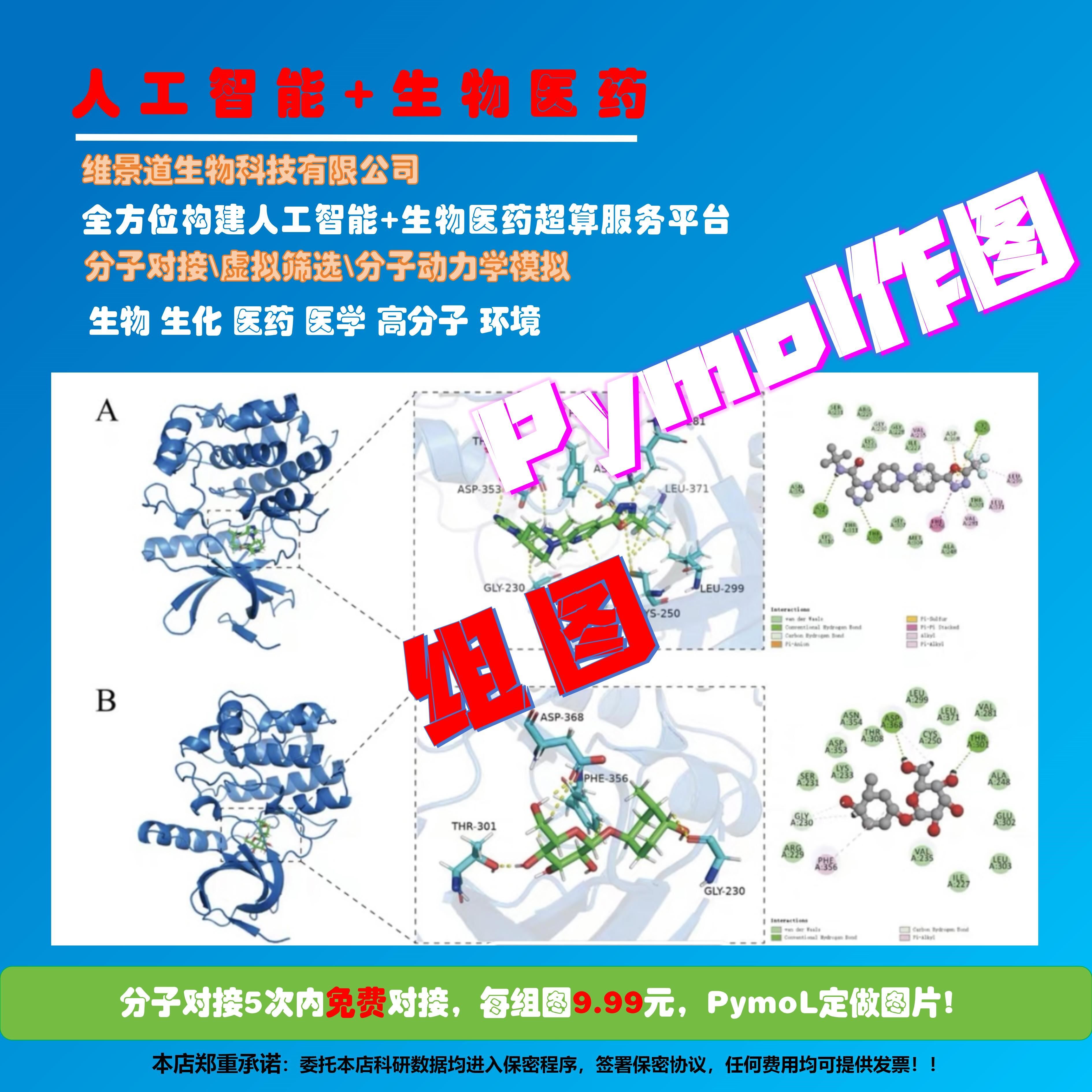 PymoL作图生物医学工程药物设计分子对接虚拟筛选计算化学模拟