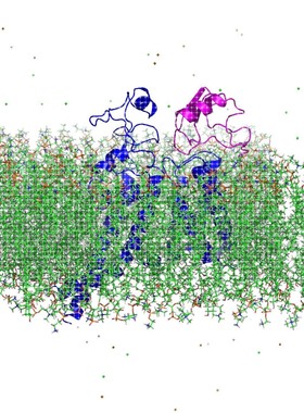 gromacs结晶MD分子动力学模拟lammps划痕仿真势函数AutoDock