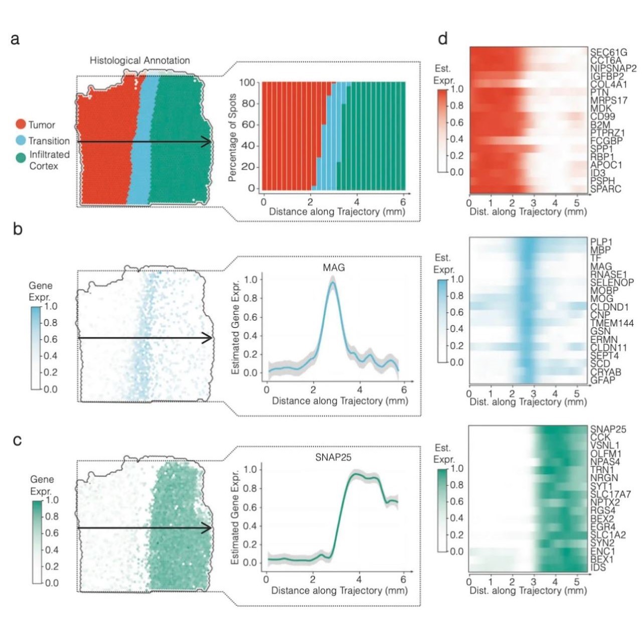 KEGG GO 富集热图火山图绘制方案