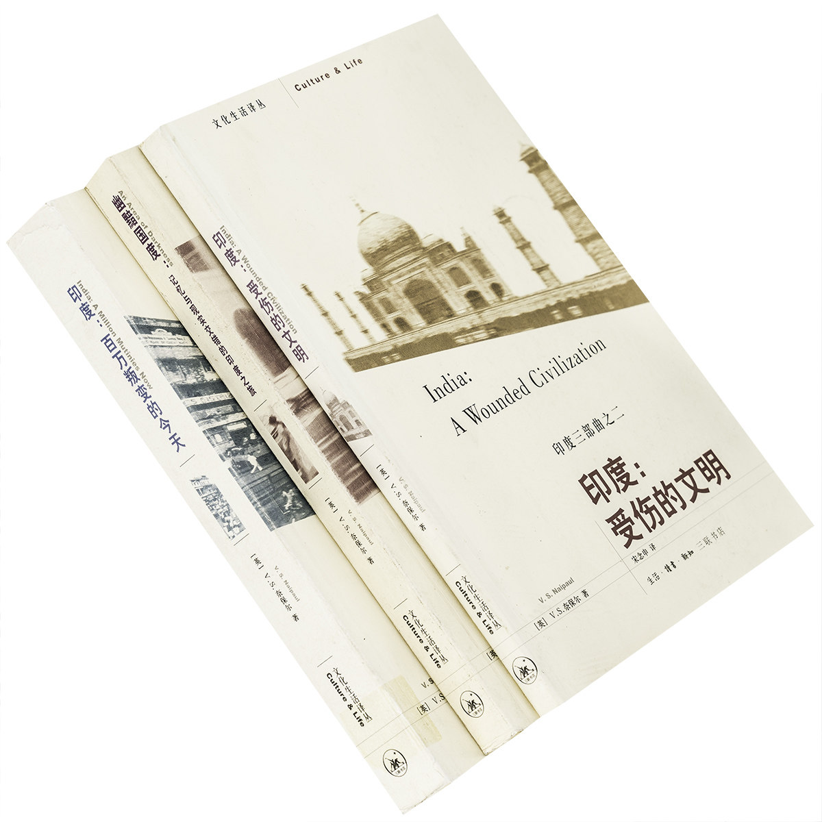 奈保尔印度三部曲 印度百万叛变的今天 印度百万叛变的今天 印度受伤