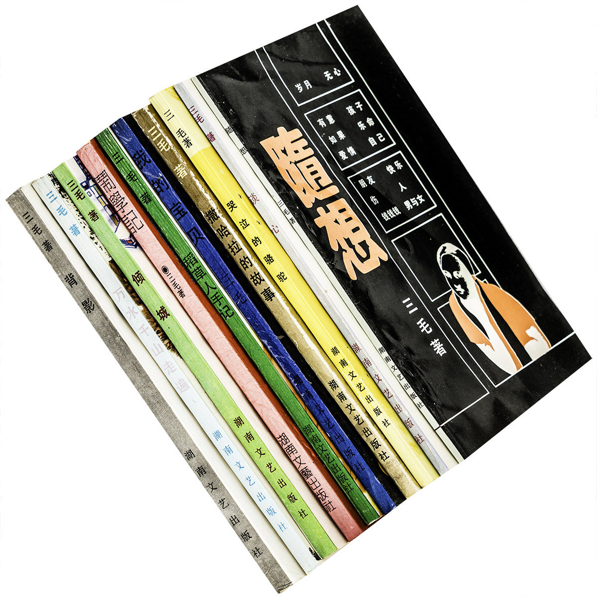 三毛作品全集系列全10册 谈心随想撒哈拉的故事闹学记哭泣的骆驼稻草人手记背影我的宝贝 万水千山走遍倾城 湖南文艺出版社老版