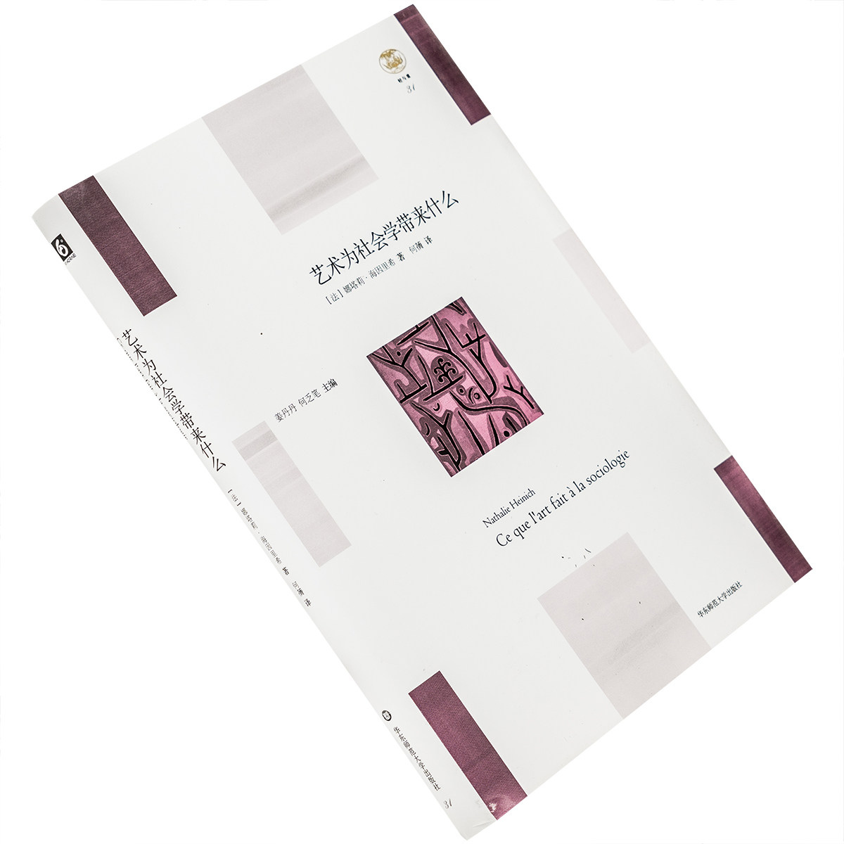 艺术为社会学带来什么 纳塔莉·海因里希 9787567541627 精装 轻与重系列 华东师范大学出版社 正版书籍 老版