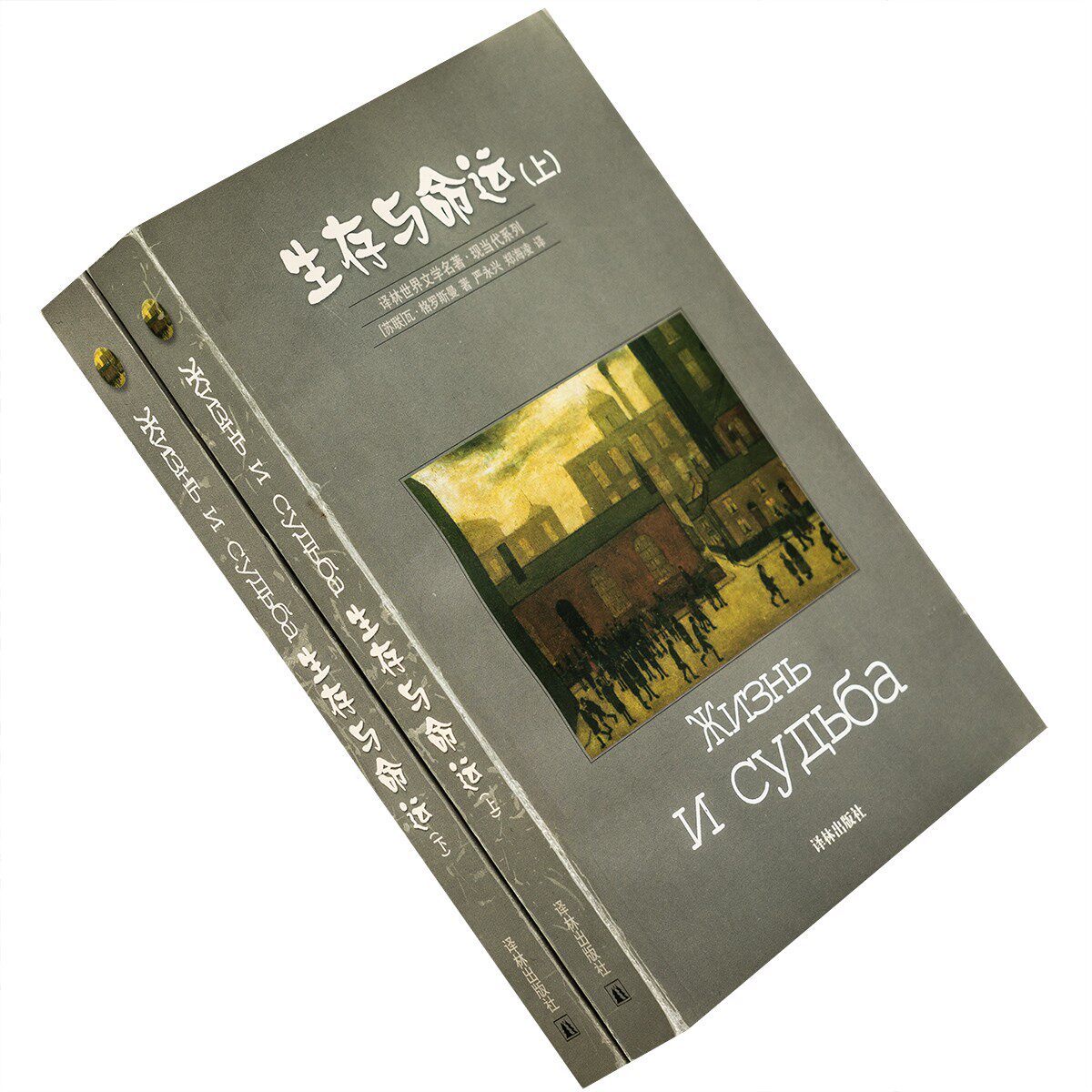 生存与命运上下全2册 译林世界文学名著·现当代系列 老版珍藏