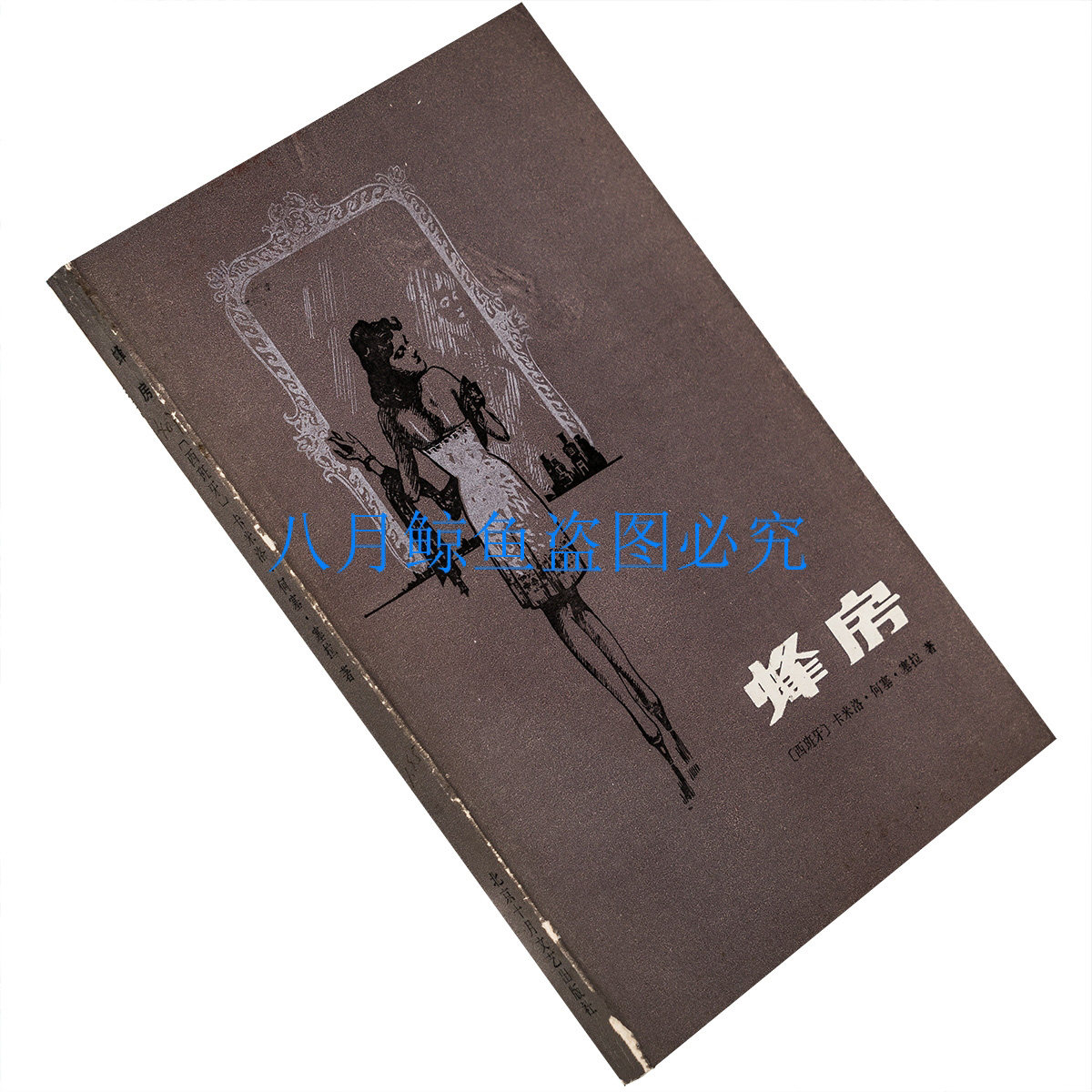 蜂巢 蜂房 卡米洛·何塞·塞拉 孟继成 当代外国文学 老版珍藏