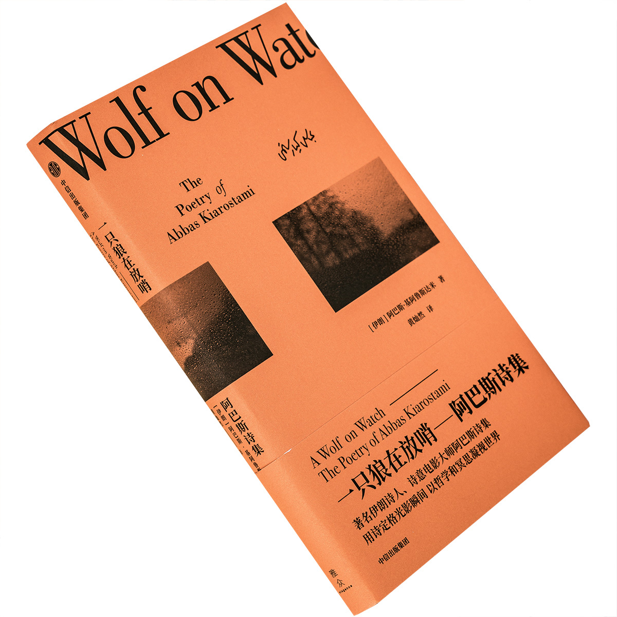 一只狼在放哨 阿巴斯诗集黄灿然翻译 雅众诗丛·国外卷 中信出版社 雅众文化 正版书籍