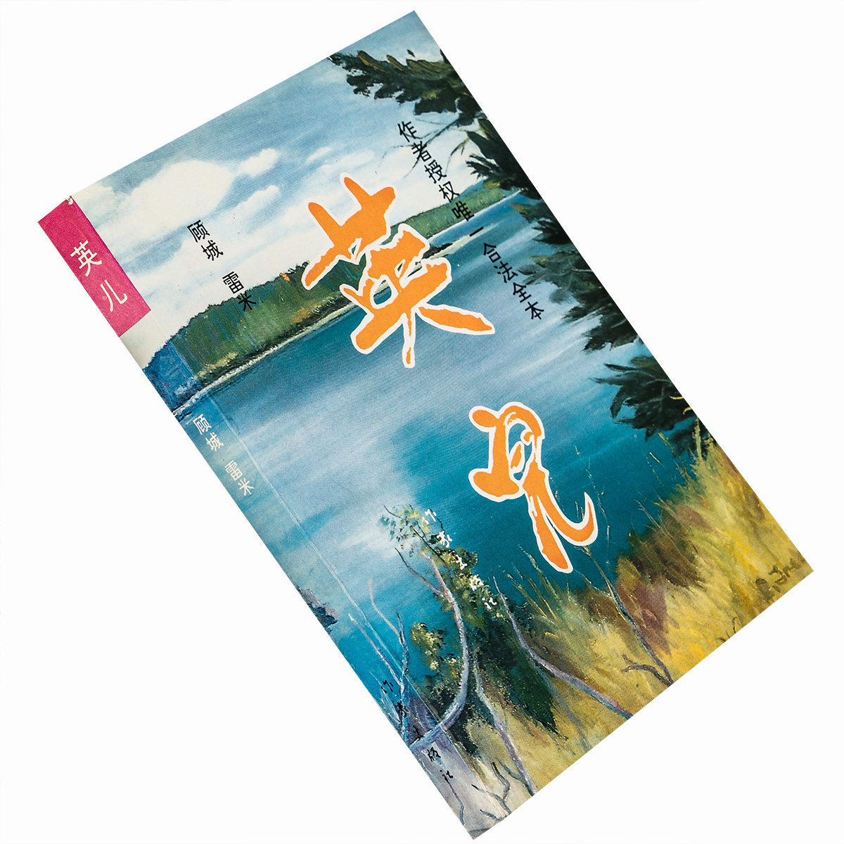 英儿 顾城自传 雷米 顾城手绘插图全本未删节书籍 作家版老版珍藏