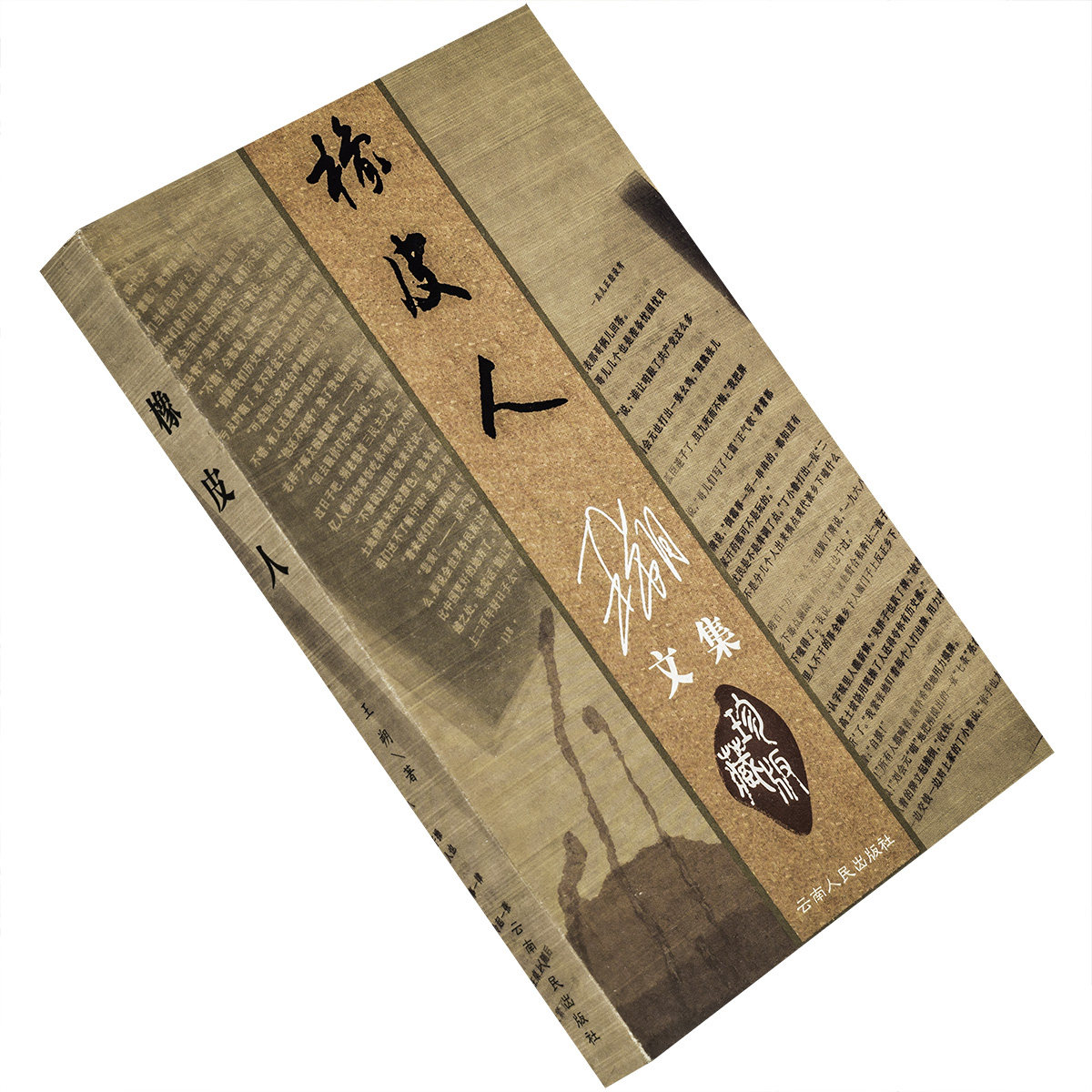 橡皮人 永失我爱 我是狼 给我顶住 无人喝彩 刘慧芳 王朔文集 云南