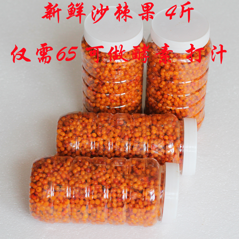 山西特产 醋溜溜 新鲜冷冻 棘酵素水果4斤 沙棘汁原果 野外小沙棘