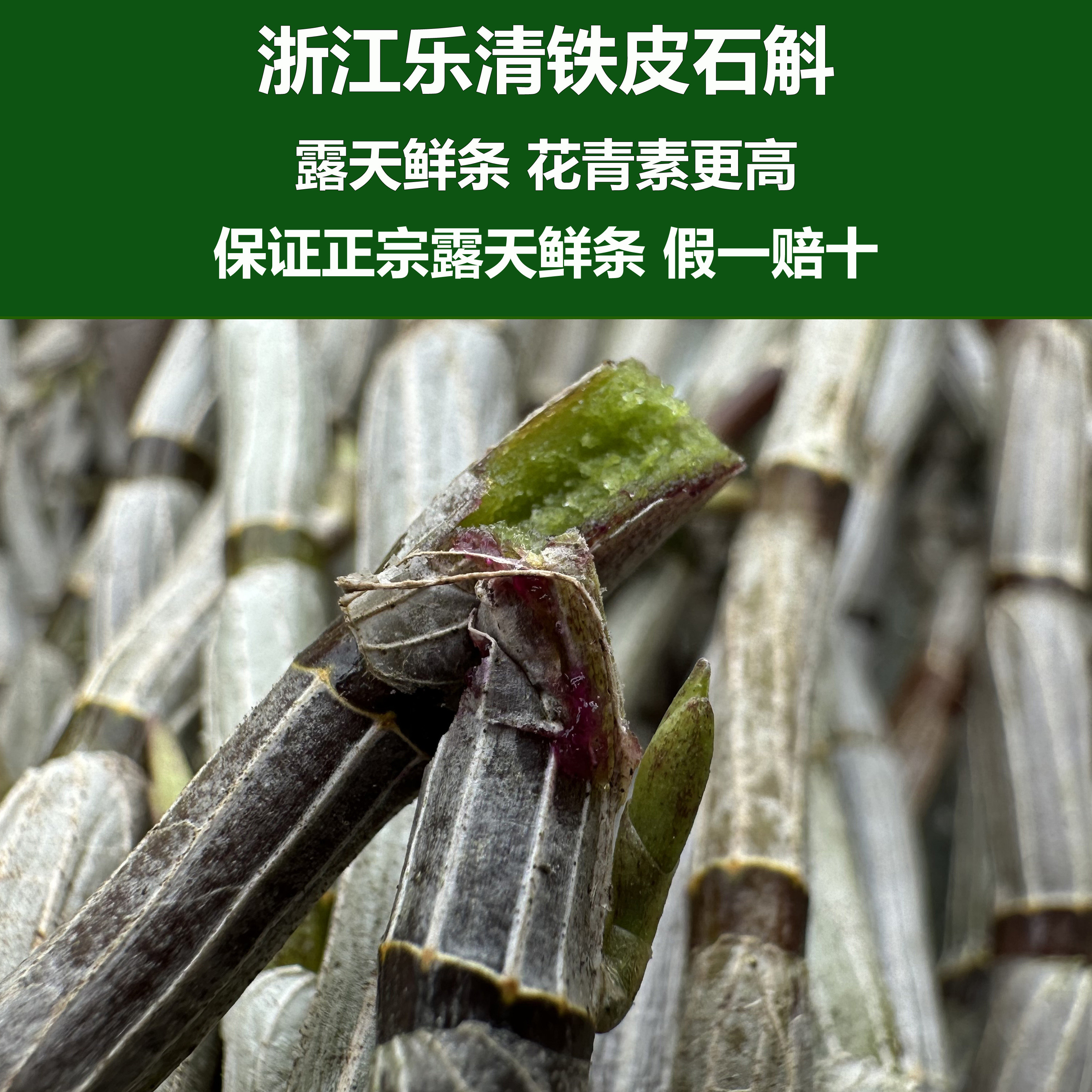 斛康源浙江乐清雁荡山正宗露天林下铁皮石斛鲜条500克