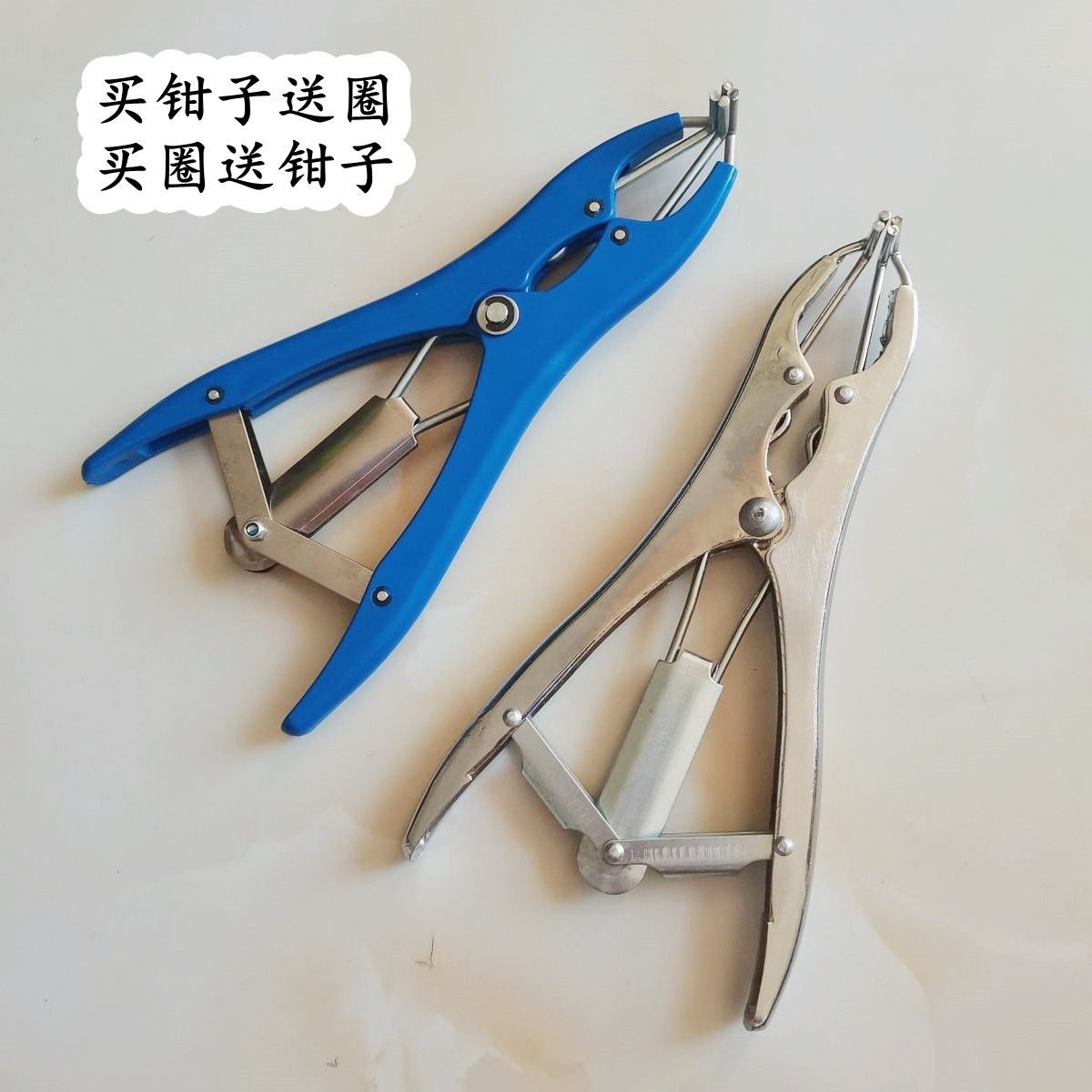 小羊断尾扩张钳断尾圈无血去势圈断尾钳子羊断尾去势羊羔断尾皮筋