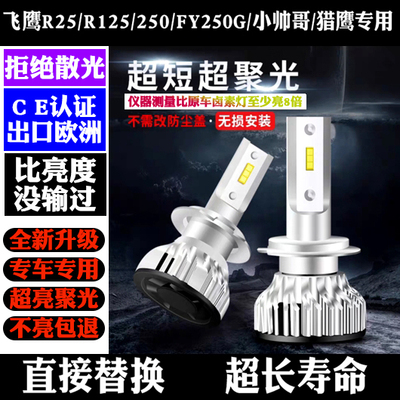 飞鹰R25 R125 250 FY250G 小帅哥猎鹰 原装改装LED大灯远近光灯泡