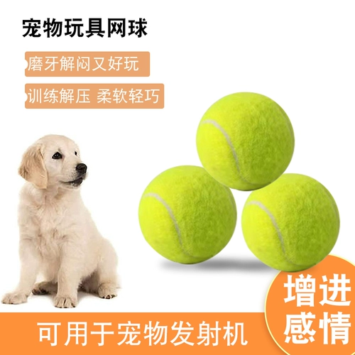 Шесть лет -магазин пять цветов игрушки для собак BALL Большие собаки и лошади, молярные эластичные шарики, кусая бесплатные доставки щенков.