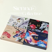 狐狸盘 天鹅盘 Hourglass25限定六色面部综合盘马盘 鹿盘