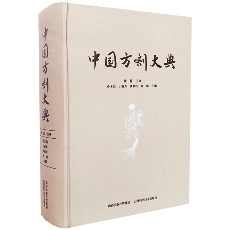 中国方剂大典孙玉信主编