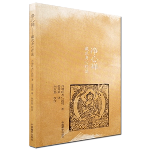 藏式身心疗法 净心禅 丹增旺杰著 中国藏学出版社