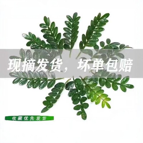 木叶子烘培蛋糕装饰摆盘