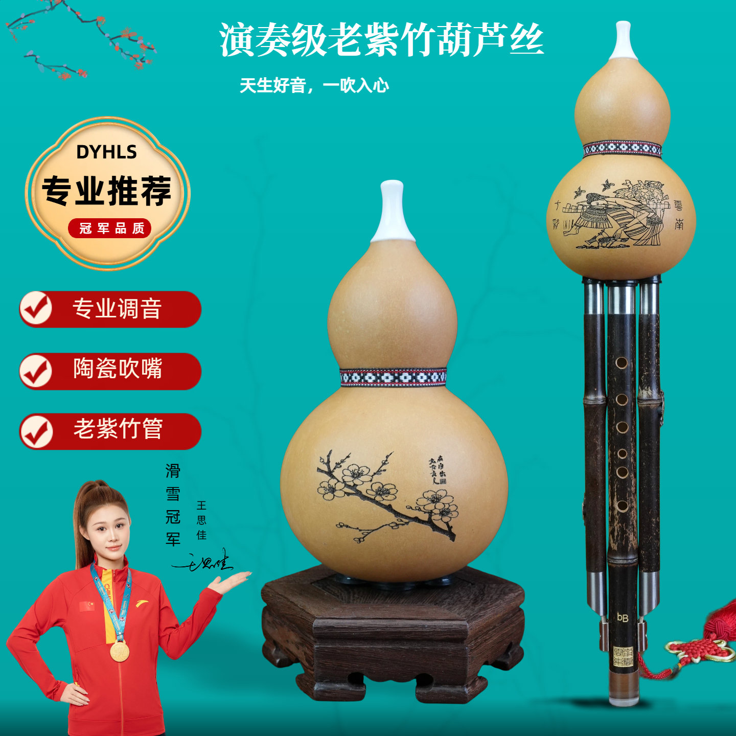 云南东云初学专业演奏型天然葫芦紫竹葫芦丝乐器降B/C/小d/F/GA调