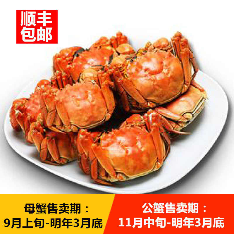 江西特产九江鄱阳湖®大闸蟹8只大闸蟹
