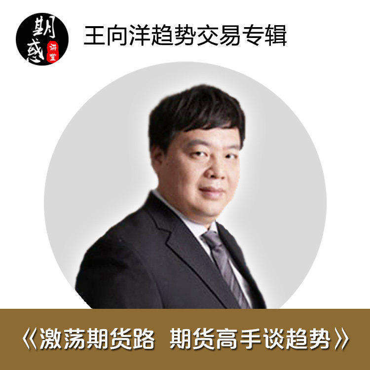王向洋谈期货趋势交易|期货技术分析|期货培训学习教程音频课程