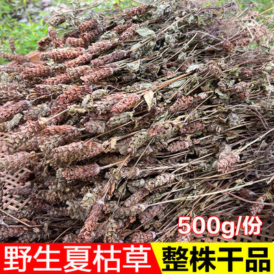 野生整株白毛泡茶夏姑草球中药材