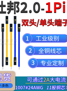 1P杜邦2.0mm端子线24AWG线过2A大电流PCB面包板单双头2.0间距跳线