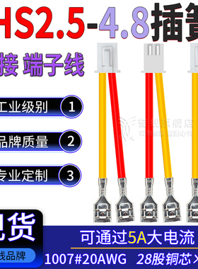 XHS2.5带扣转4.8插簧转接线 过5A大电流端子线 20AWG开关线2/4/6P