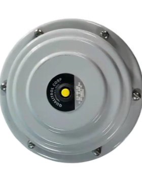 Qualitrol压力释放阀 208-60Z LPRD00-00022975